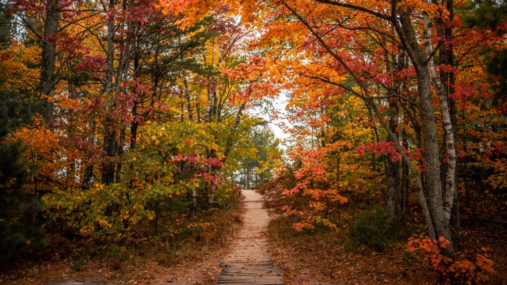 типотвизор