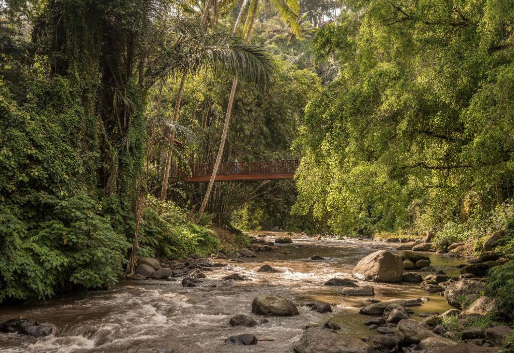 Four Seasons Resort Bali at Sayan