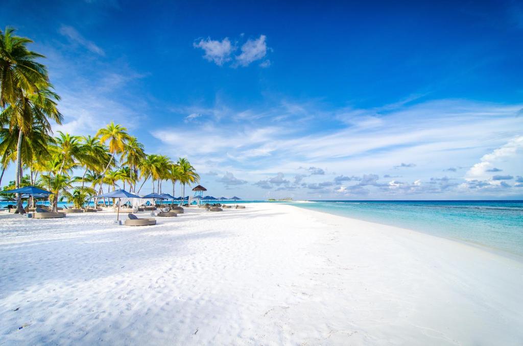 Finolhu, A Seaside Collection Resort, a Member of Design Hotels