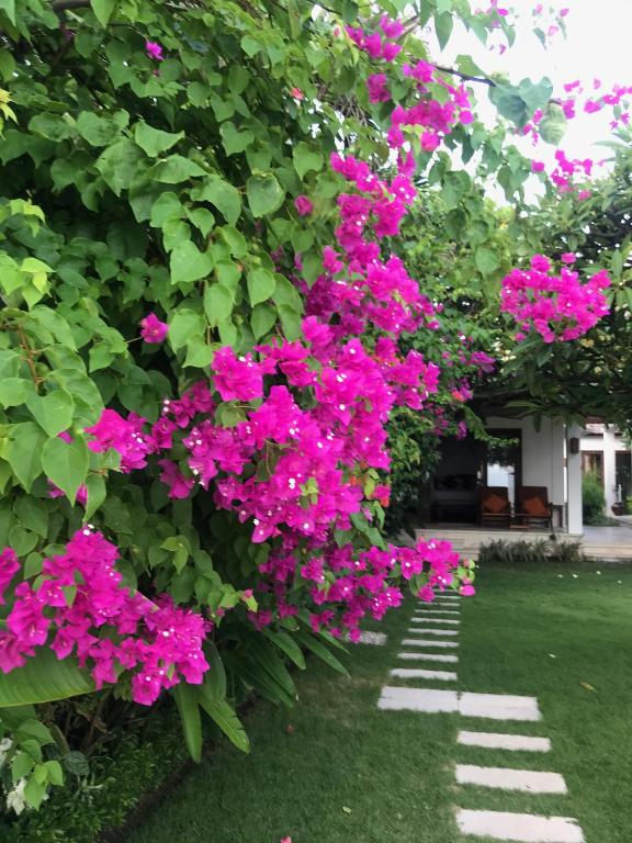 Villa Kaniksa