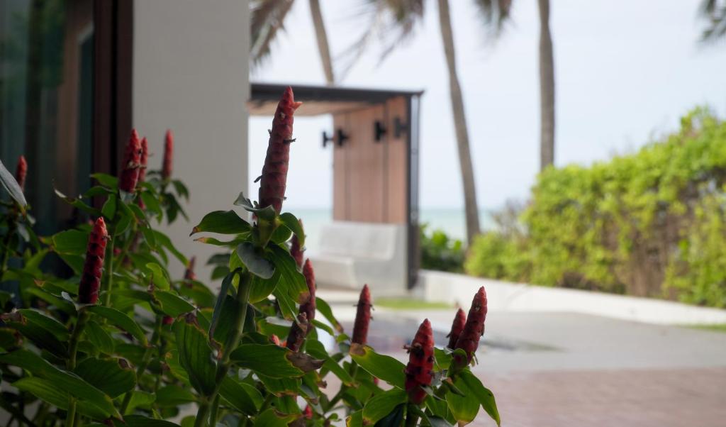 Luxurious Beachfront Pool Villa Experience, Rayong